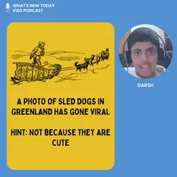S3 E5: Why sled dogs in Greenland have become popular for the wrong reasons?