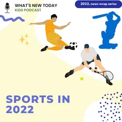 Sports wrap 2022: FIFA world cup, T20 world cup and Tennis GOATs