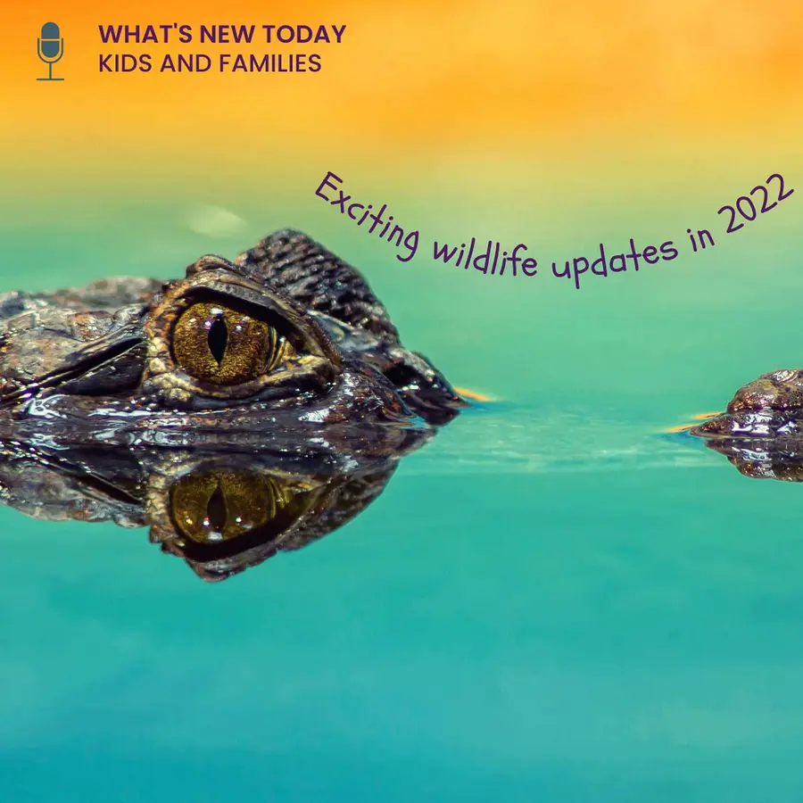 What's new today