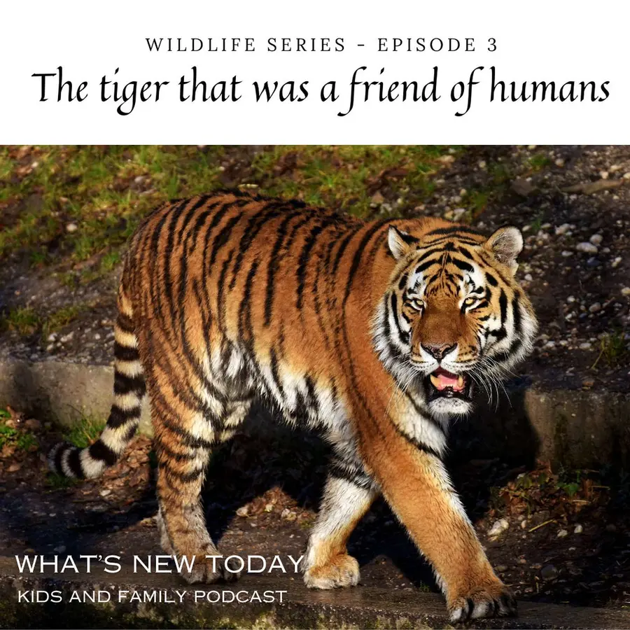 What's new today