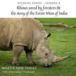 Wildlife Series: Part 9 - Rhinos saved by foresters and a villager called Jadav Payeng who turned a barren island into a forest