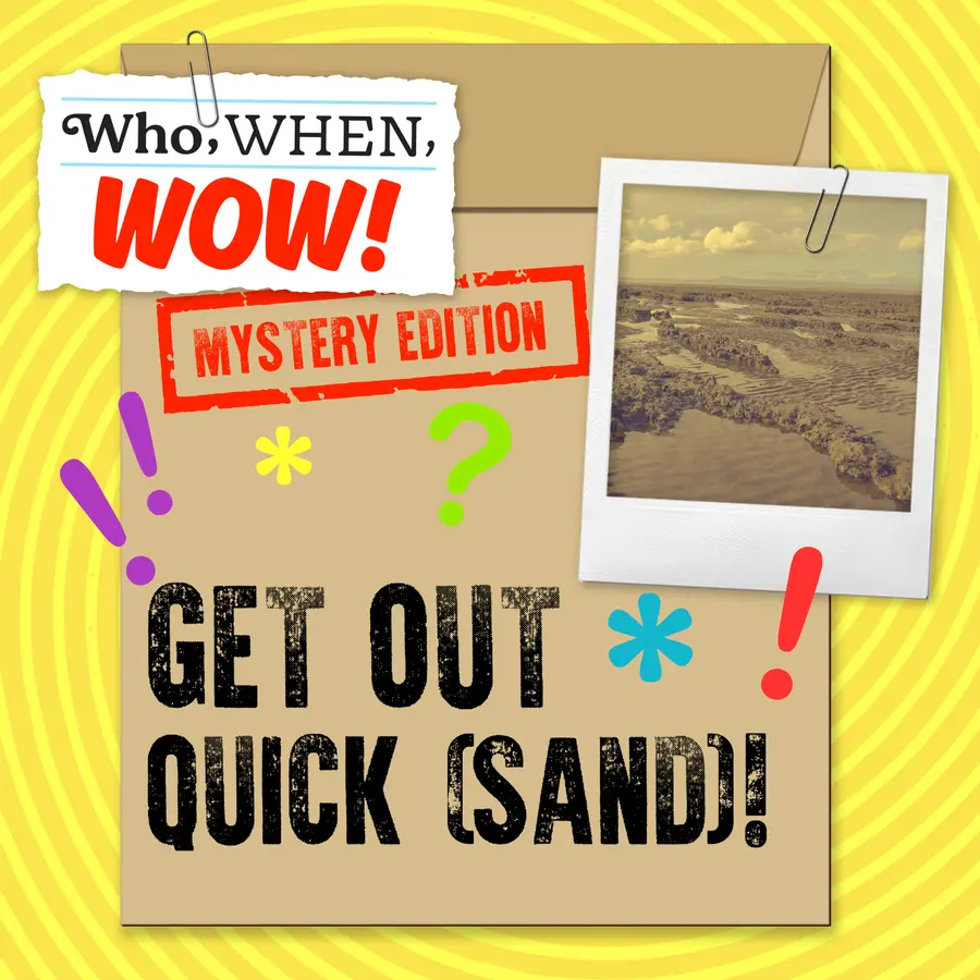 Who, When, Wow!