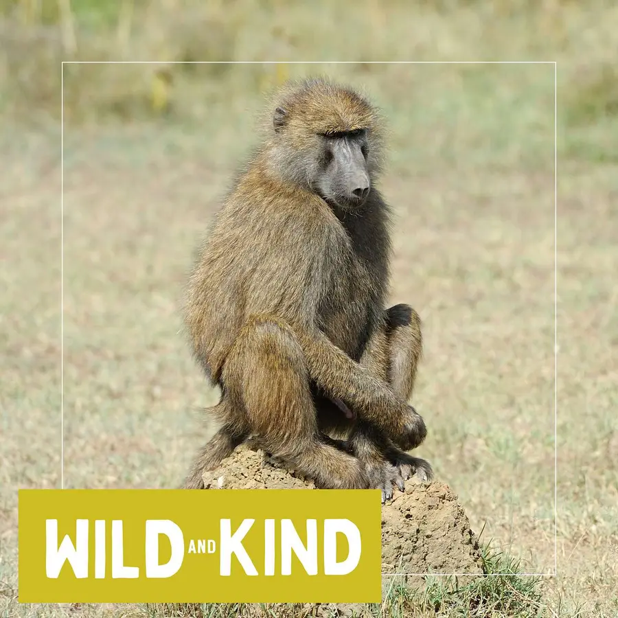 Wild and Kind Kids Podcast