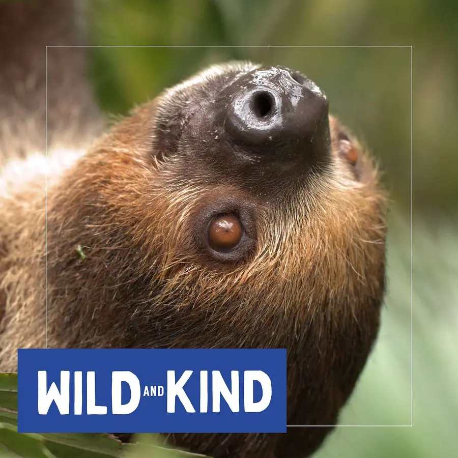 Wild and Kind Kids Podcast