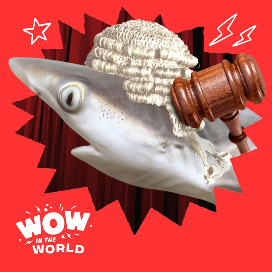 Wow in the World