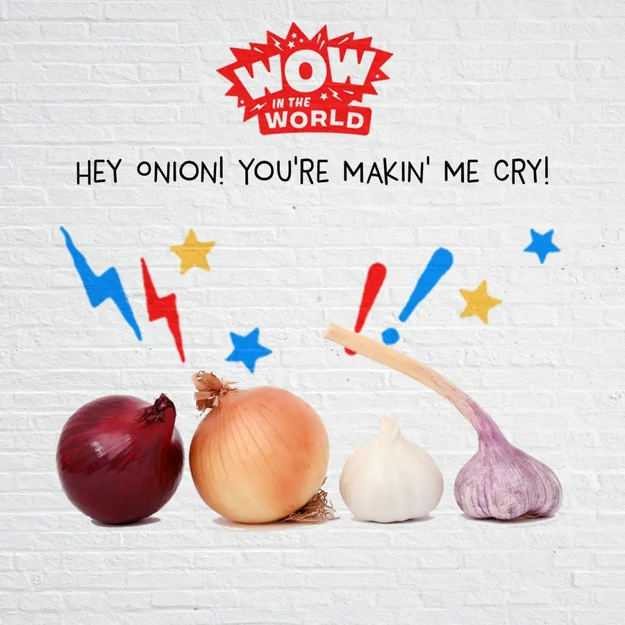 Wow in the World