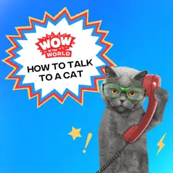 How To Talk To A Cat (8/4/25)