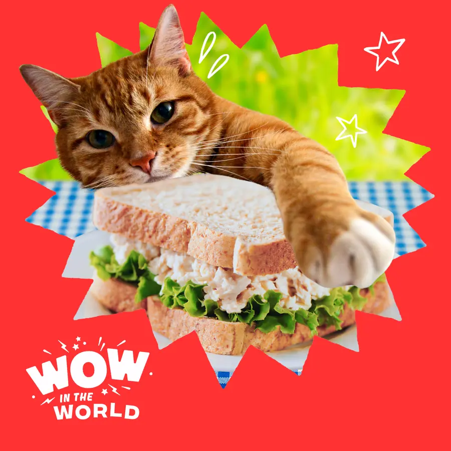 Wow in the World
