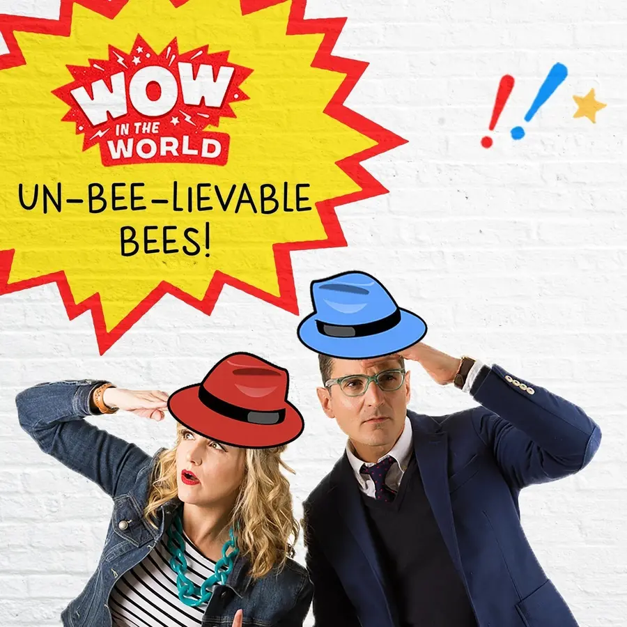 Wow in the World