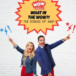 What in the Wow?! The Science of Awe (Encore - 8/9/21)