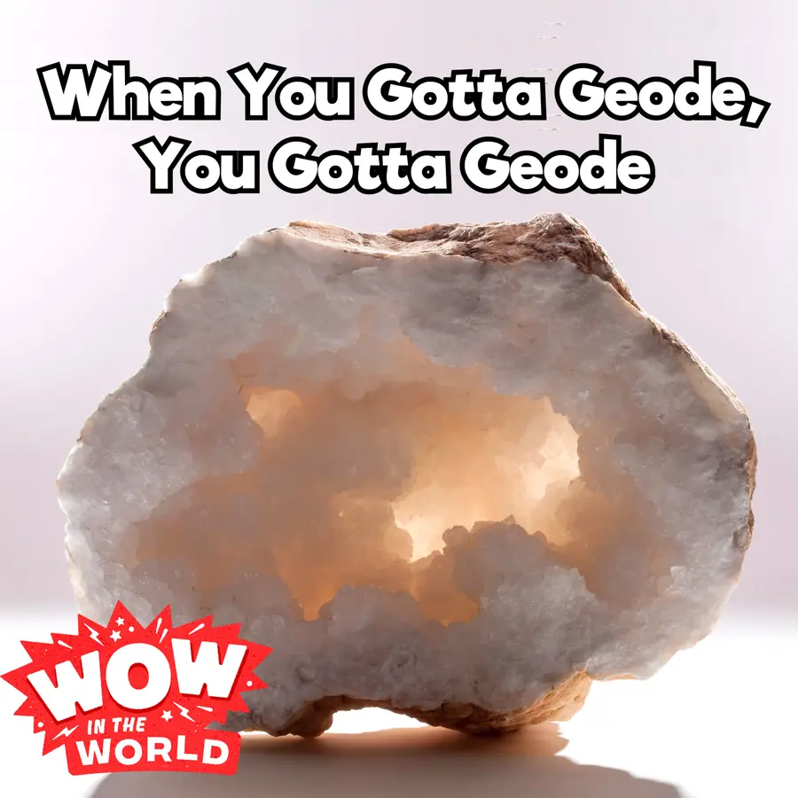 Wow in the World